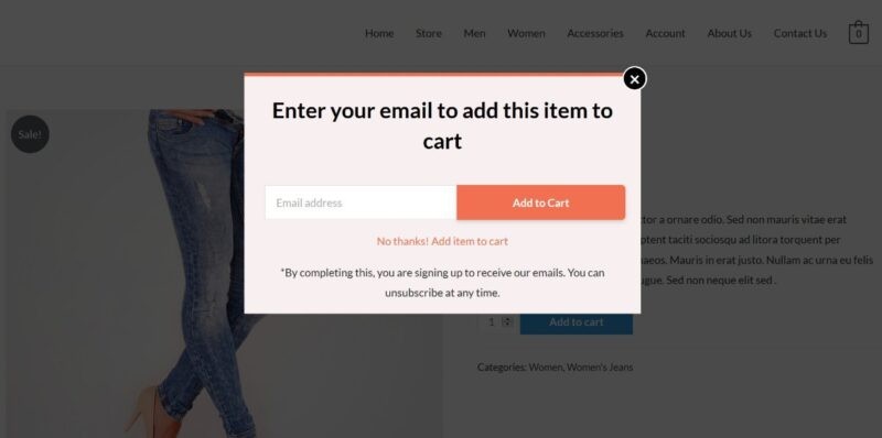 Example for Shopping Cart Abandonment Popup