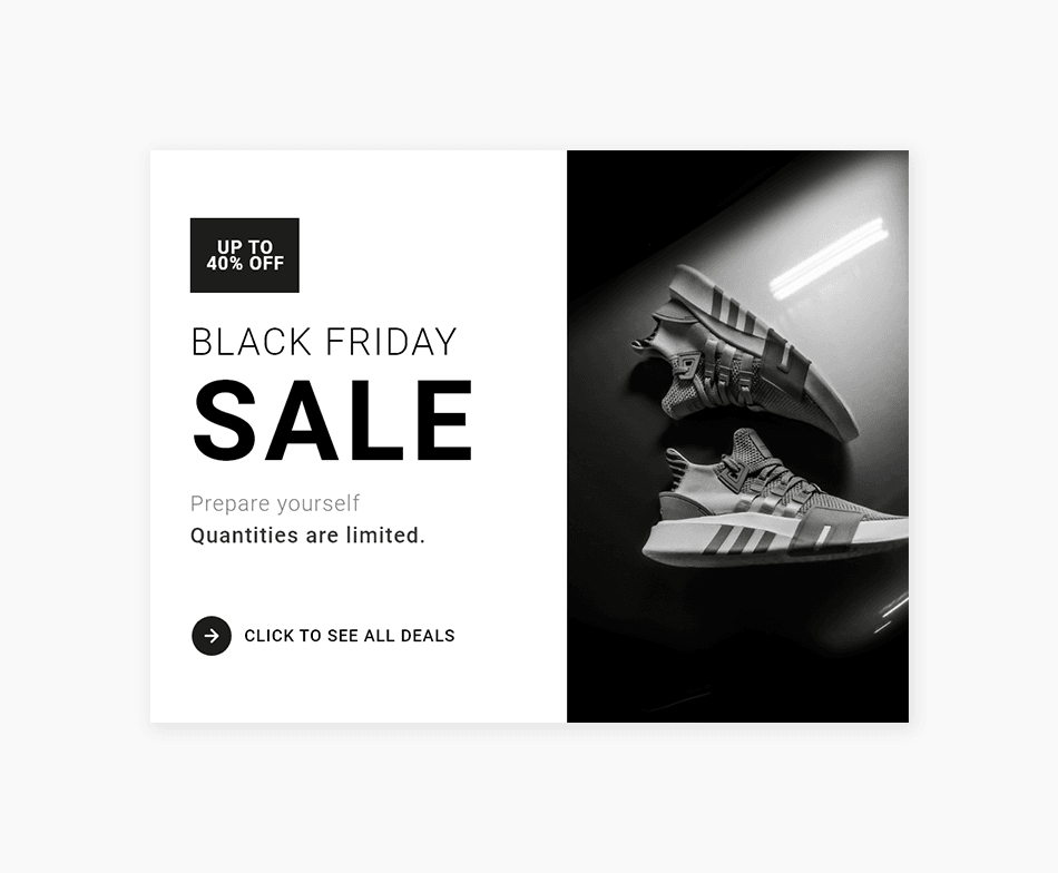 Black Friday Sale