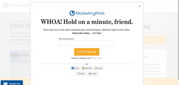 Popup to Increase Newsletter Subscribers