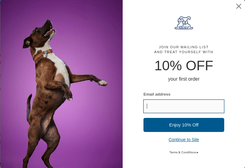 Petco's wholesome popup