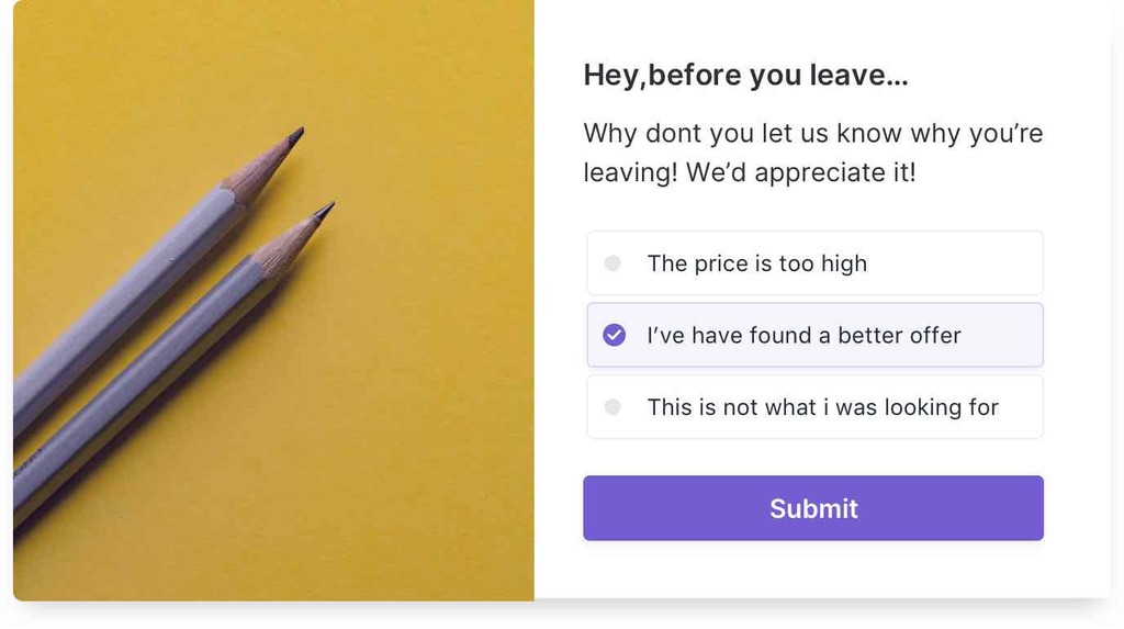 Exit Intent Popup Survey