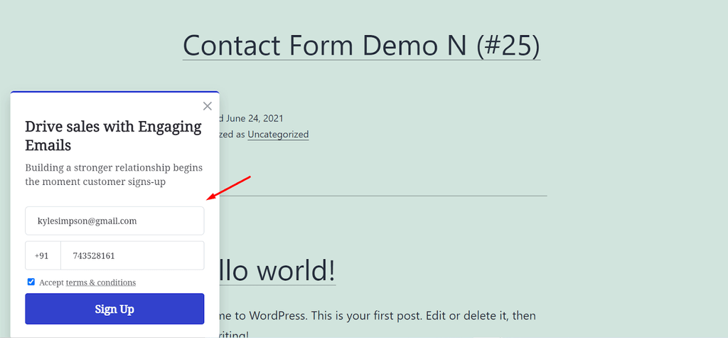 Contact Form Check