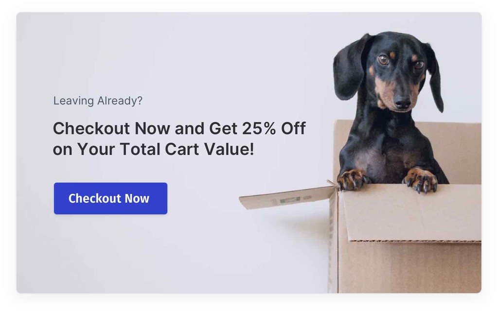 Example for Exit Intent Popup