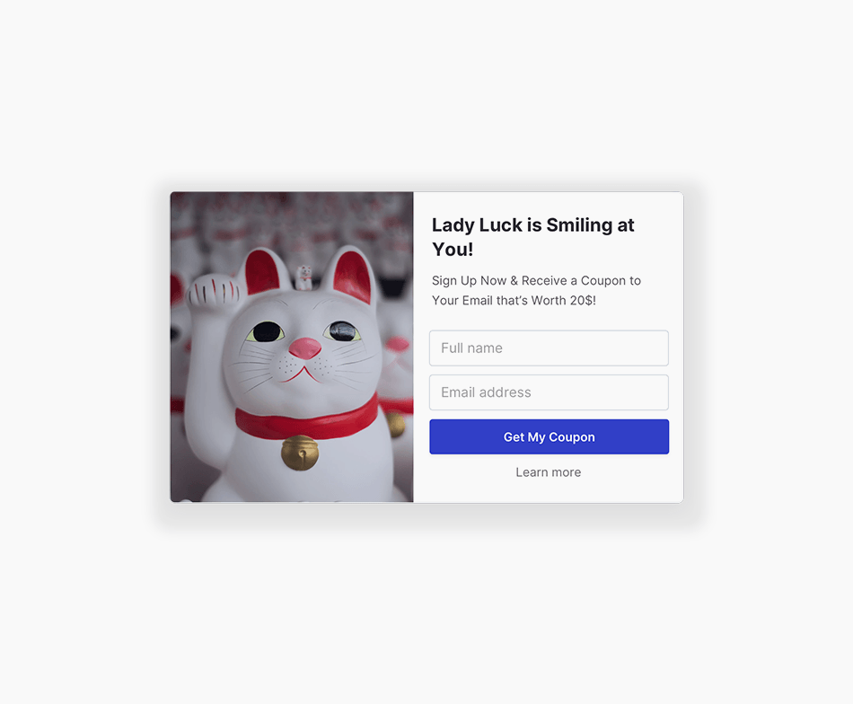 Lucky Coupon Cat