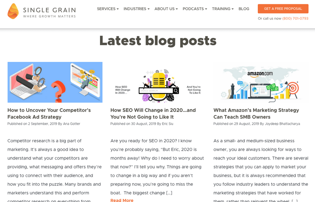 Singlegrain Pillar Article Posts