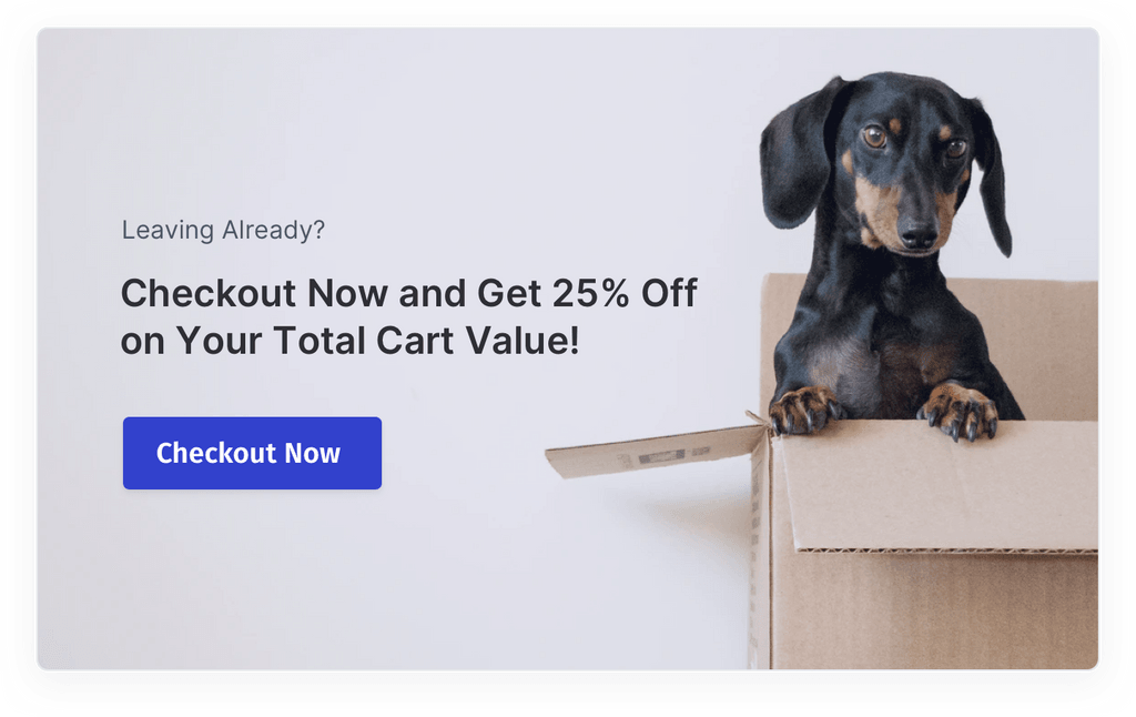 Reduce Cart Abandonment Popup