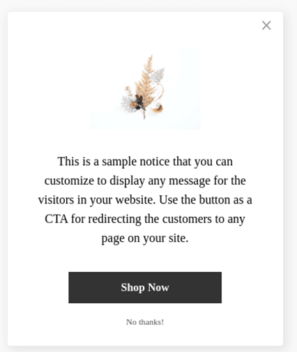 Notification Popup