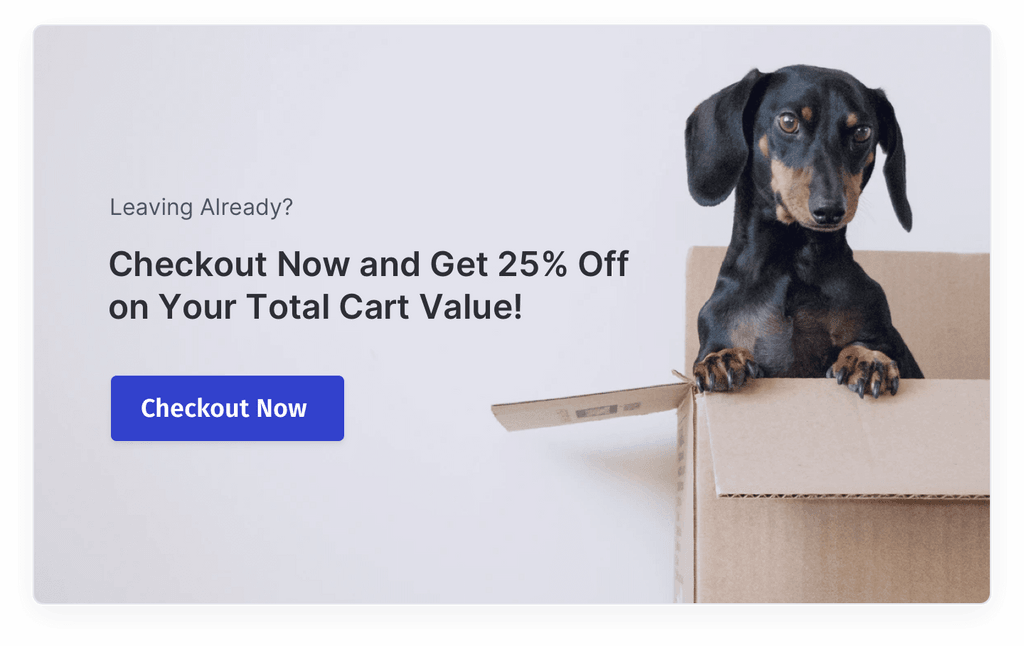 Exit Intent Popup Example