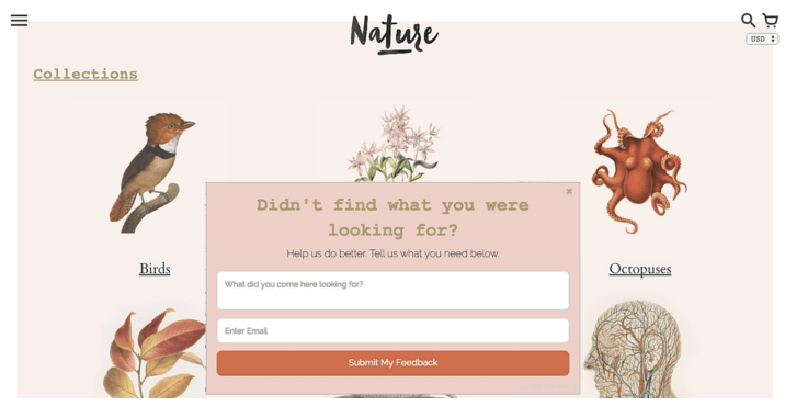 Nature Exit Popup Example